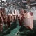 马肉鲜马肉去皮马肉精修马肉一手货源厂家直销