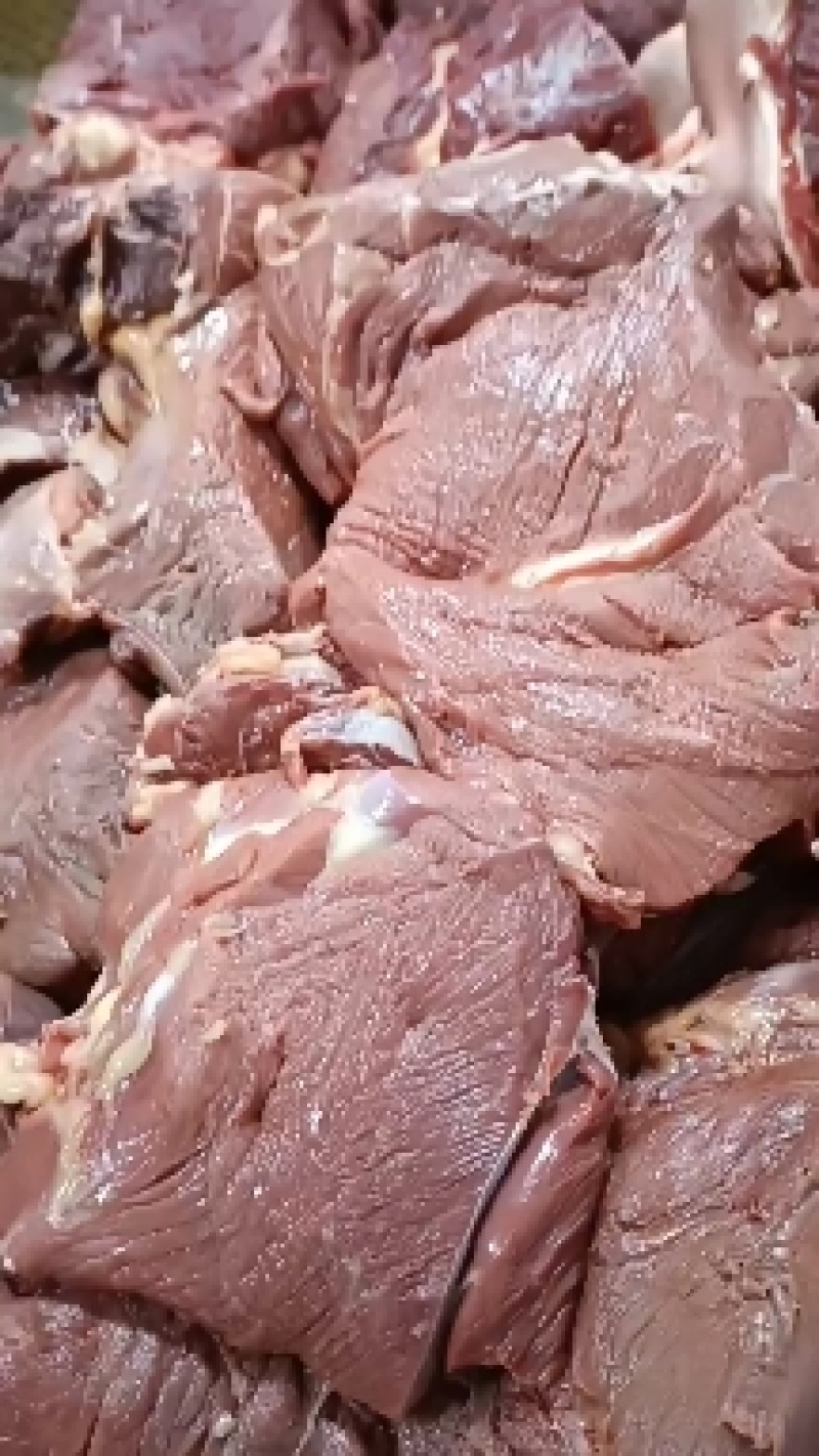 马肉鲜马肉去皮马肉精修马肉一手货源厂家直销