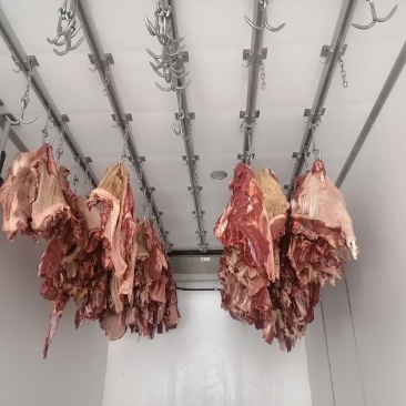 马肉鲜马肉去皮马肉精修马肉一手货源厂家直销