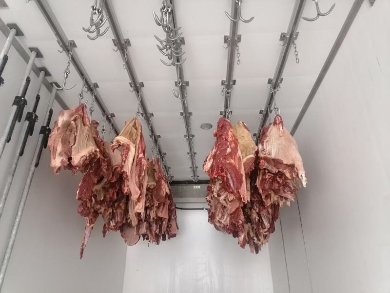 马肉鲜马肉去皮马肉精修马肉一手货源厂家直销