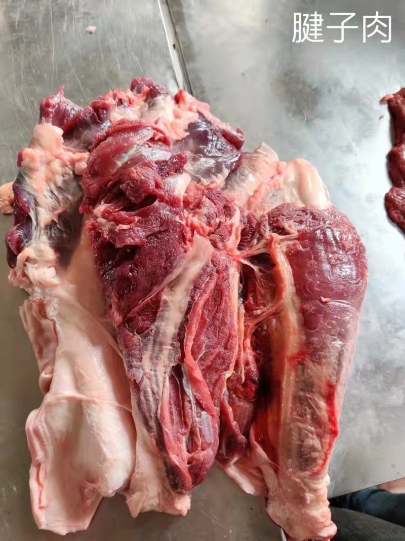 马肉鲜马肉去皮马肉精修马肉一手货源厂家直销