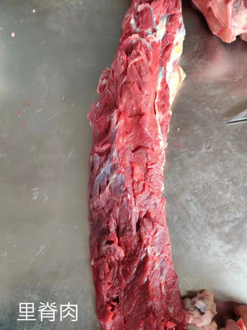马肉鲜马肉去皮马肉精修马肉一手货源厂家直销