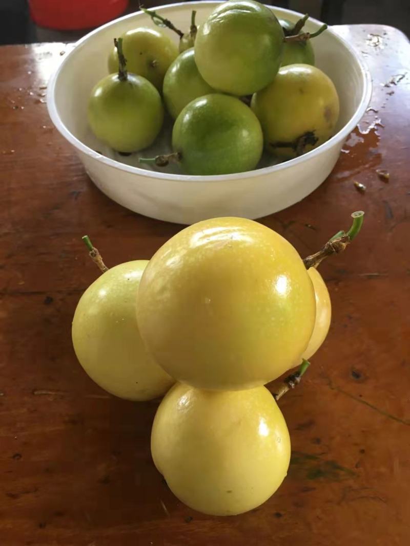 黄金百香果