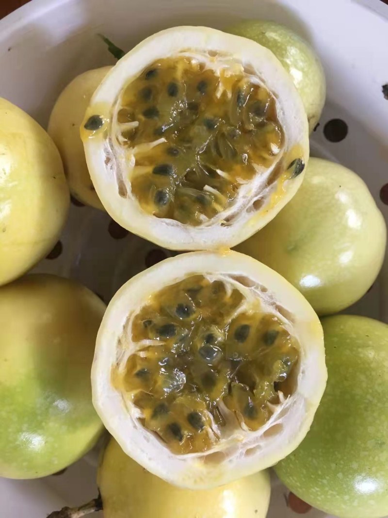 黄金百香果