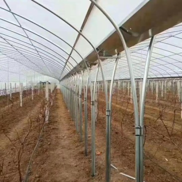 大棚骨架热镀锌管质保十年全国送货上门