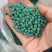 野牛草籽草坪草种籽矮生野牛草种子四季长青耐旱耐寒草平