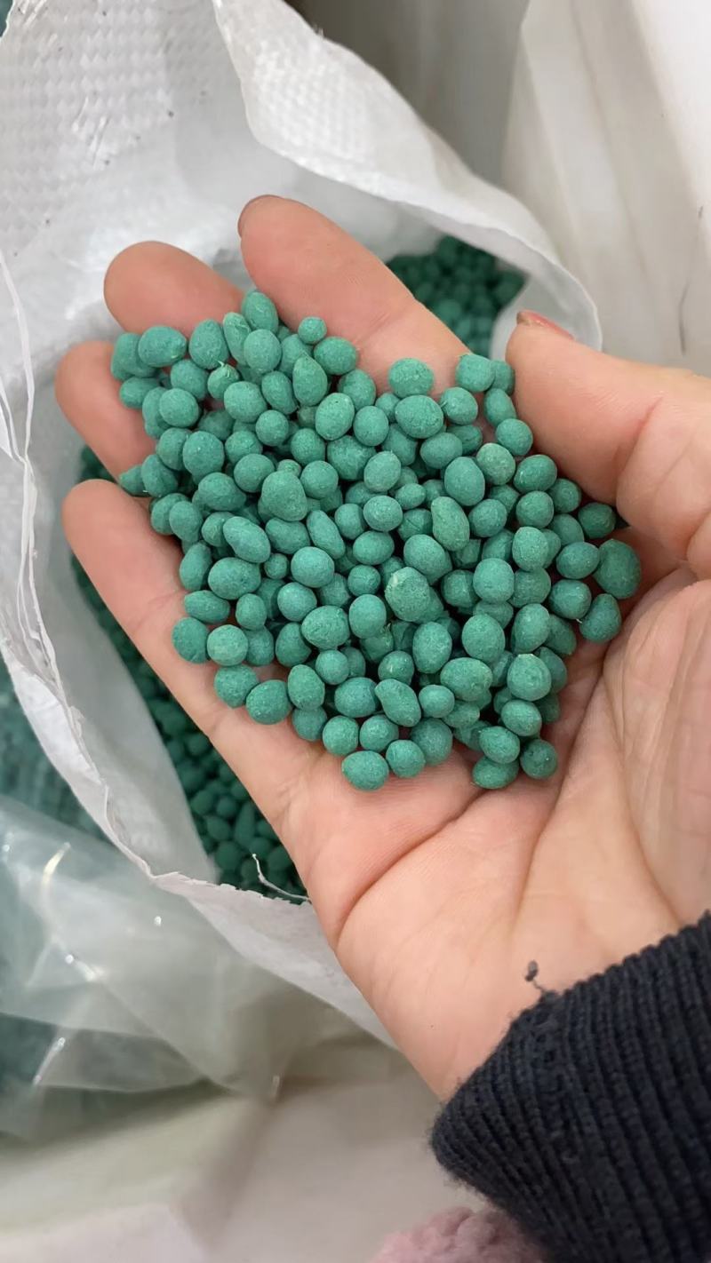 野牛草籽草坪草种籽矮生野牛草种子四季长青耐旱耐寒草平