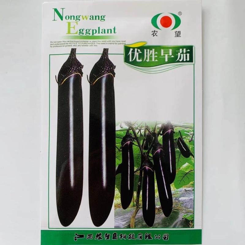 优胜早茄茄子种子黑紫色茄子墨茄种子丰产抗病早熟茄子种