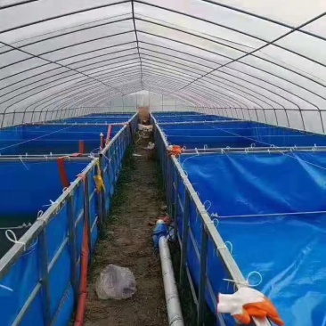 本公司直销全套养殖大棚骨架椭圆管包塑管塑管全套材料直销