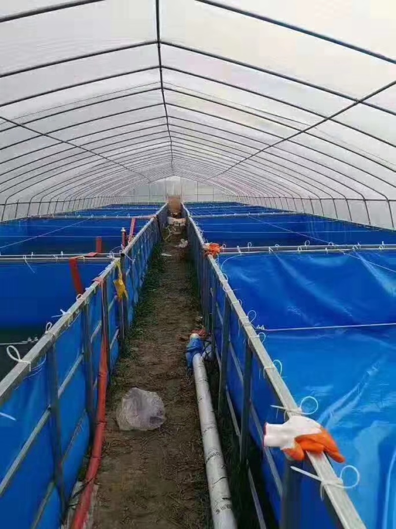 本公司直销全套养殖大棚骨架椭圆管包塑管塑管全套材料直销
