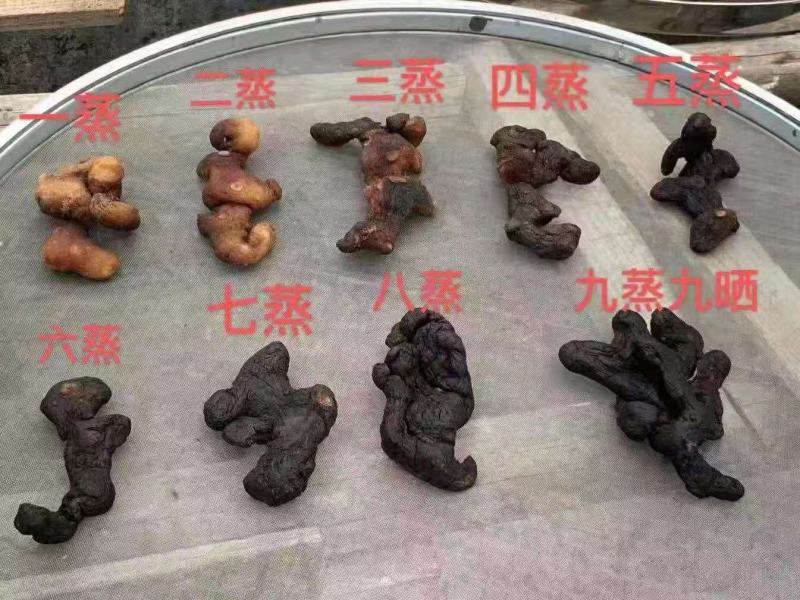 产地野生姜形九蒸九晒黄精，欢迎广大客商合作共赢。