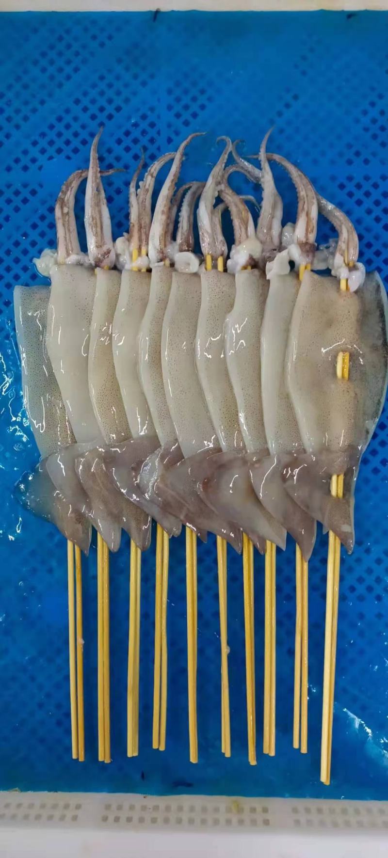 厂家直销各种规格鱿鱼串，可以定做规格，质量优加工工艺好