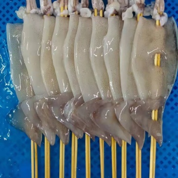 厂家直销各种规格鱿鱼串，可以定做规格，质量优加工工艺好