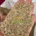 高羊茅草籽进口耐践踏庭院不修剪护坡绿化草皮四季青草坪种子