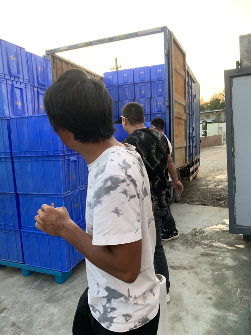 二手塑胶周转箱塑料框菜筐二手胶框蔬菜筐塑料篮子胶箱
