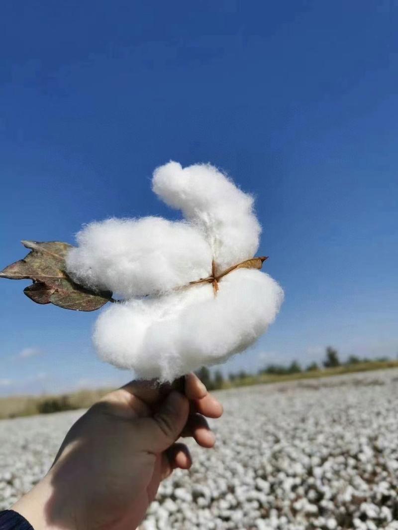 新疆棉花被褥纯正好棉尺寸大小可定做新疆阿克苏包邮