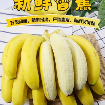 包邮）云南香蕉整箱应季水果新鲜包邮特价带箱10斤装自然熟