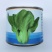 【高品质】矮脚耐寒青梗菜种子越冬耐抽苔耐低温高产