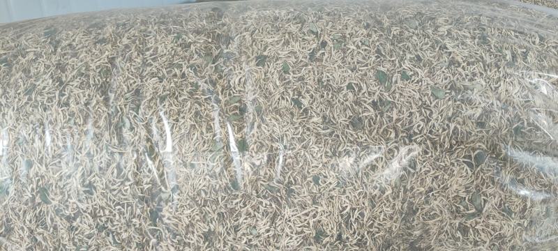金银花干花无硫绿色无残留通货混装