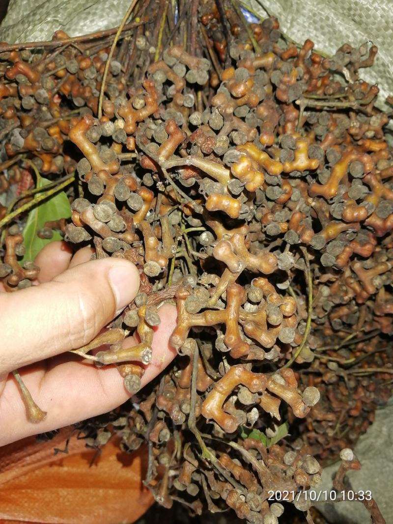 广东本地拐枣新鲜(万寿果)包邮