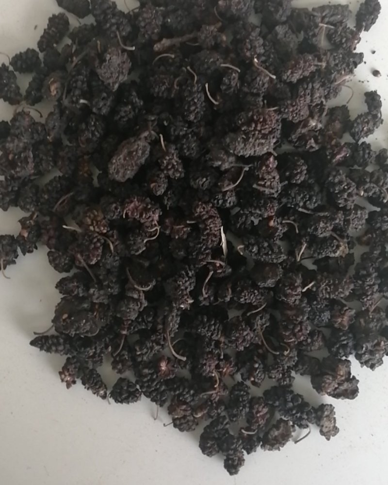 药材用桑葚干