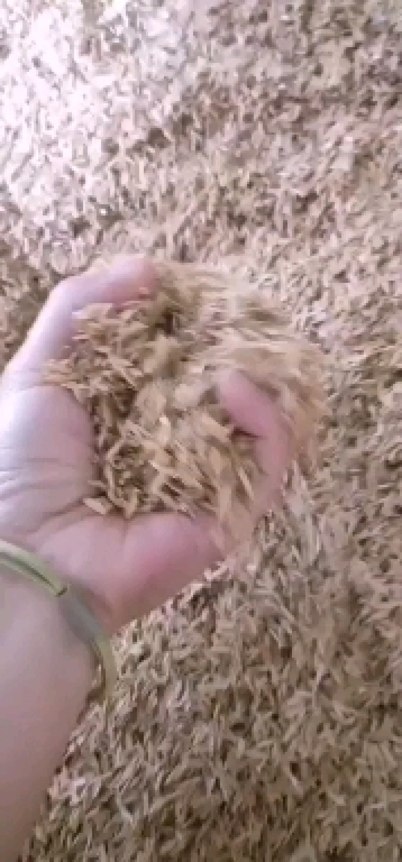 压缩稻壳打包稻壳酒厂酿酒养殖饲料垫料生物燃料陶粒