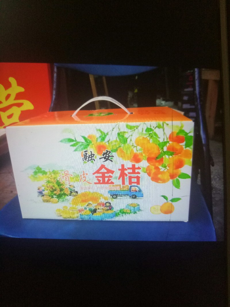 滑皮金桔一件代发中甜脆可口，欢迎全国各地客商选购