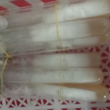 出售平菇菌种，优质的产品，低廉的价格，让你致富更轻松