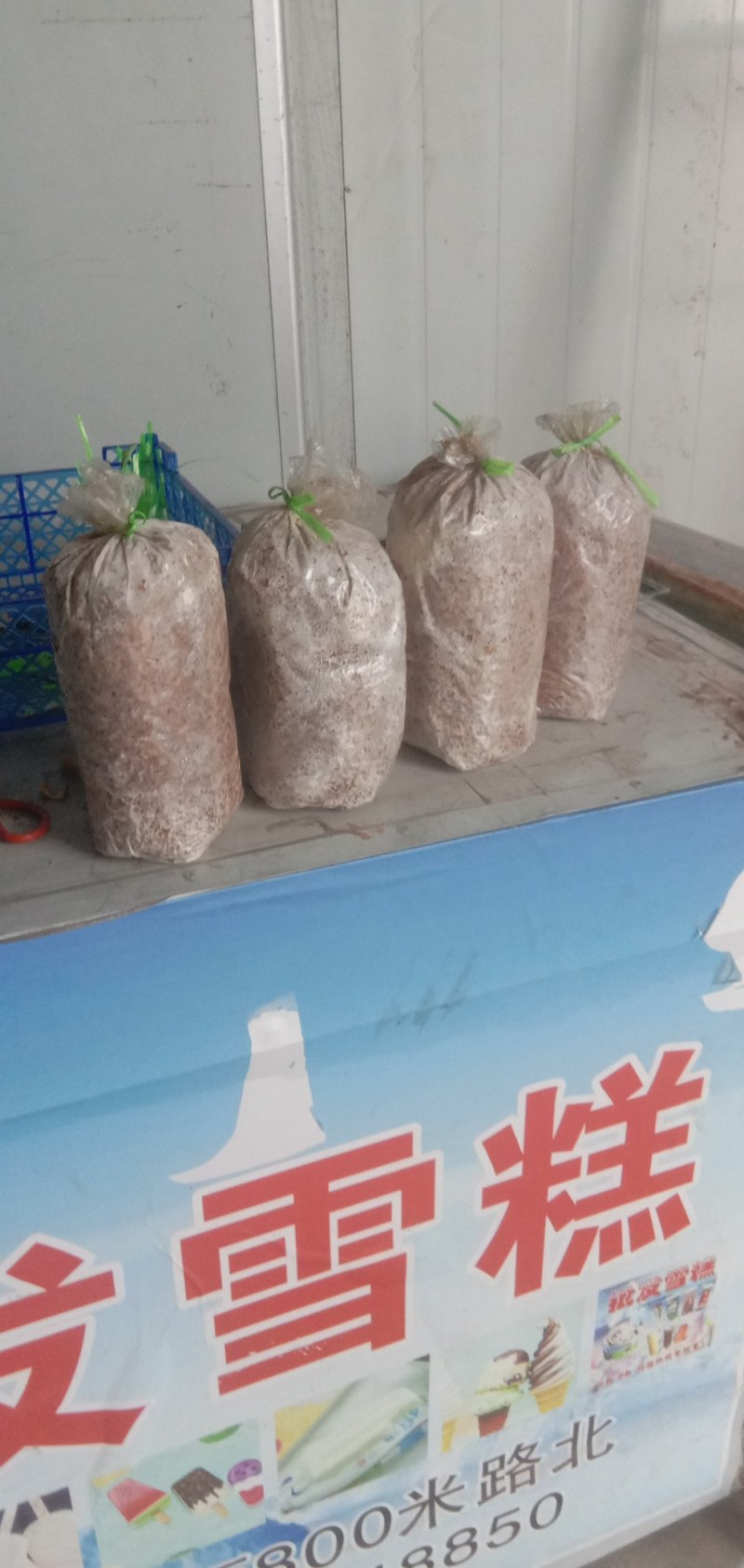 出售平菇菌种，优质的产品，低廉的价格，让你致富更轻松