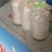 出售平菇菌种，优质的产品，低廉的价格，让你致富更轻松
