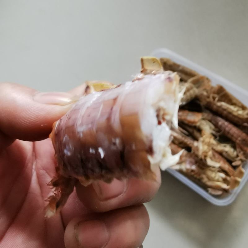 皮皮虾渤海特产虾蛄虾爬子鲜活爬虾煮熟新鲜琵琶虾