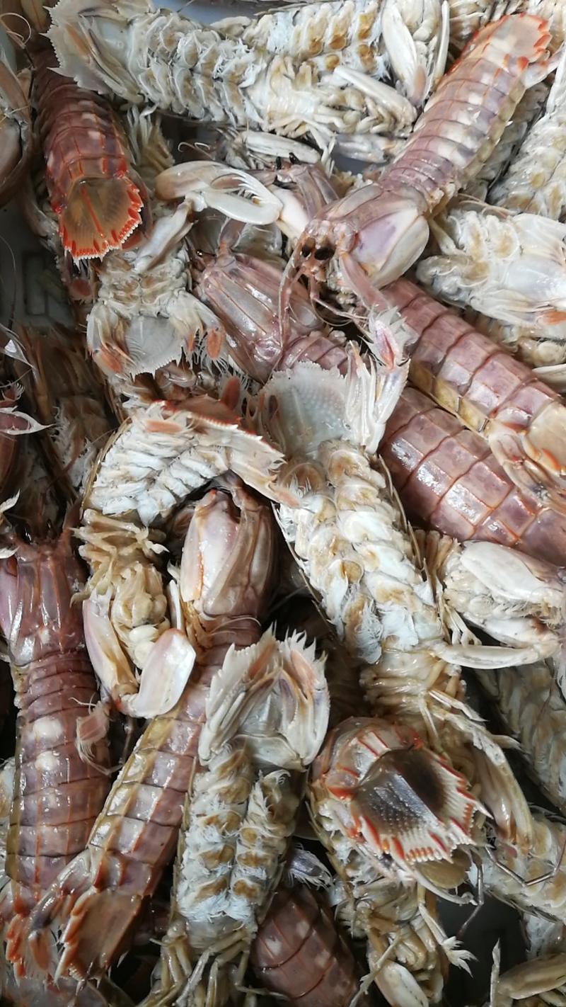 好吃的皮皮虾，新鲜度可见，不咸欢迎朋友订购。
