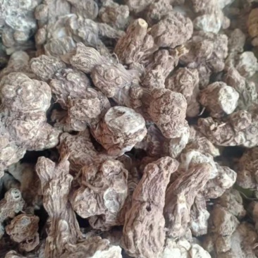 关苍术白茬子干货通货货好品质好