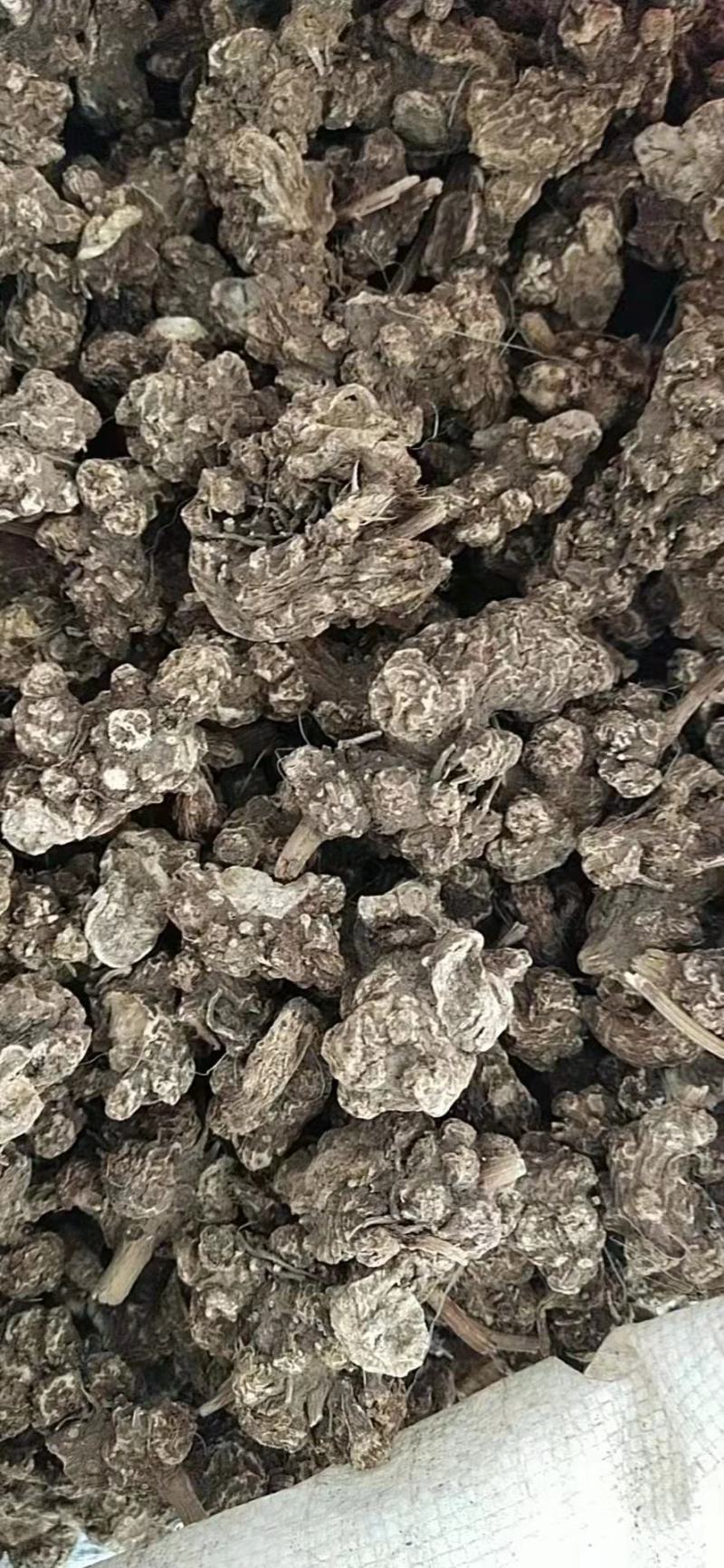 关苍术白茬子干货通货货好品质好