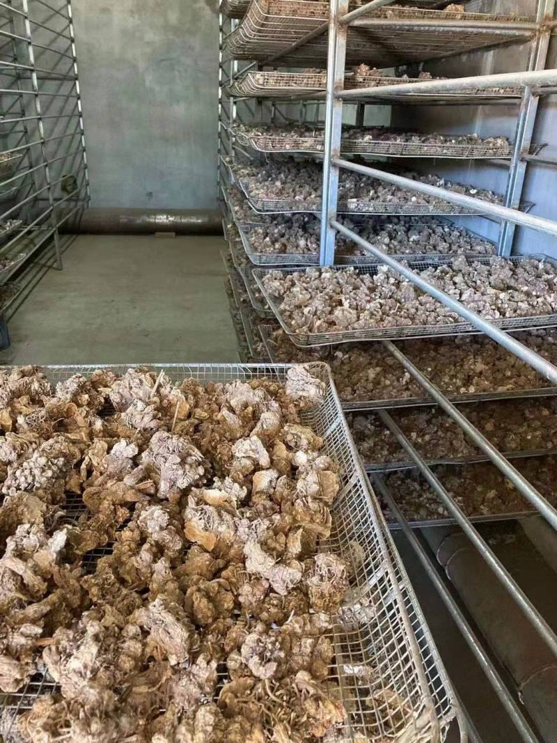 关苍术白茬子干货通货货好品质好
