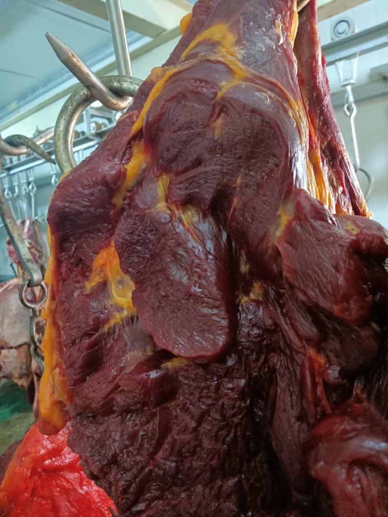 屠宰场直供扒皮马肉，精修去油后发货