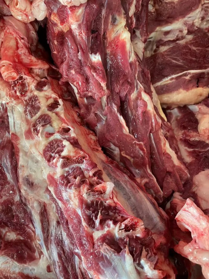 多肉整套鲜脊骨，新鲜现杀，速冻