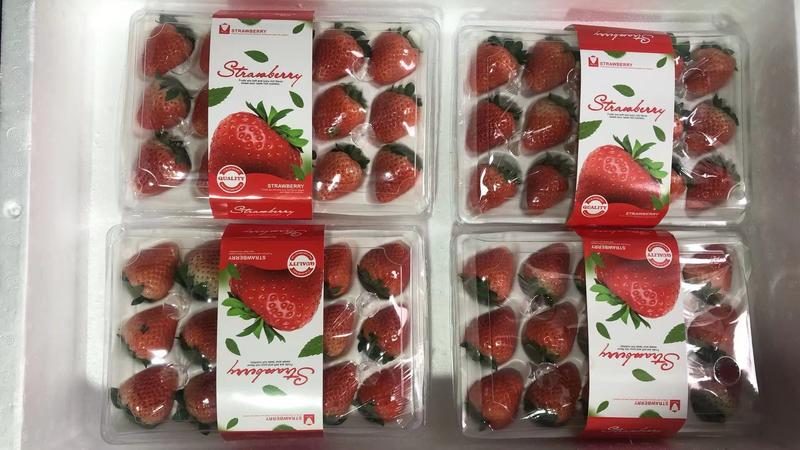 精品奶油草莓现货供应基地直发量大从优欢迎选购！
