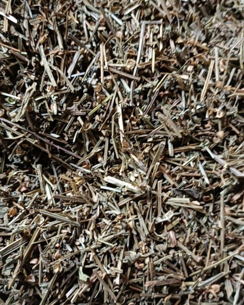 半枝莲颜色好新货货干供应各种中草药