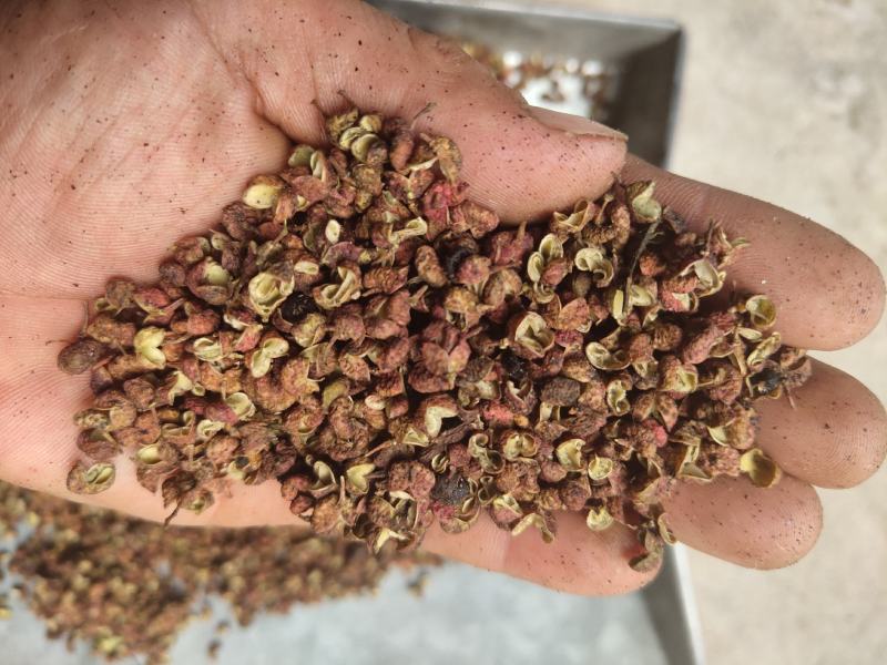 花椒（中货），花椒中上货中下货，花椒中货，花椒中货