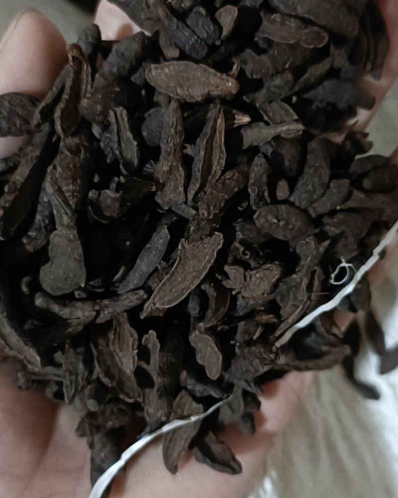 香附片醋香附片制香附供应各种中药材