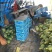 温岭特小凤西瓜2斤打底8成熟