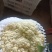 菜花陕西精品散花松花菜产地一手货源价格便宜欢迎购