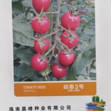 高甜度高产抗病，甜喜三号粉红色千禧种子