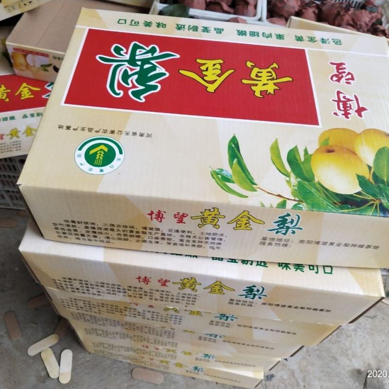 方城博望上万亩黄金梨已入保鲜库支持电商一件代发