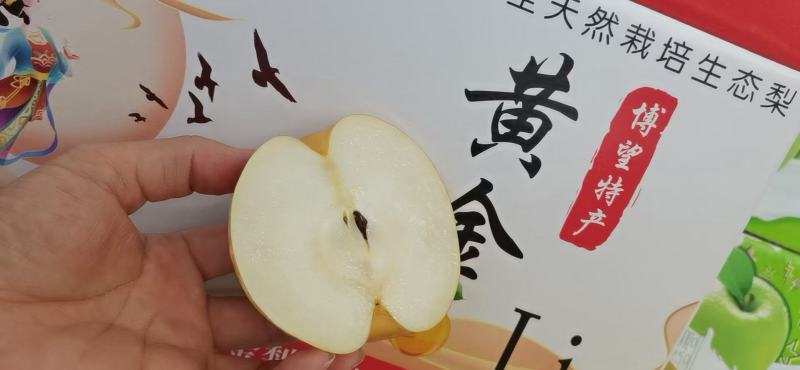 方城博望上万亩黄金梨已入保鲜库支持电商一件代发