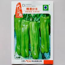 精致018薄皮椒大泡椒种子品种黄绿皮口感适中，品种种子