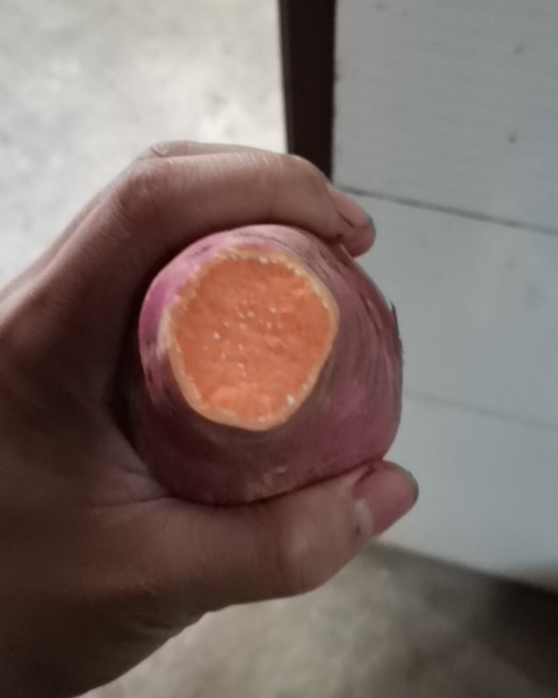 山上黄沙土基地西瓜红红皮红心大量出售产地直销，颜色黄亮，
