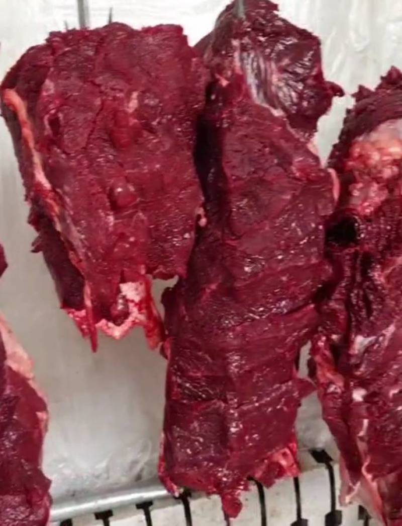 草原牛腿肉5斤包邮牛排带骨牛肉现宰切块牧场产地直发