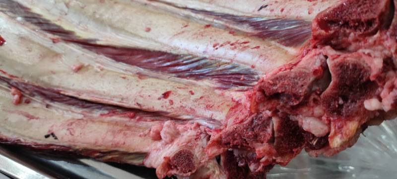 草原牛腿肉5斤包邮牛排带骨牛肉现宰切块牧场产地直发